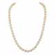 Akoya Perlenkette mit Goldschließe, - Foto 1