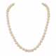 Akoya Perlenkette mit Goldschließe, - photo 1