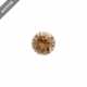 1 loser brauner Brillant 0,61 ct - фото 1