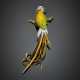 Spilla in oro giallo e bianco a guisa di uccello del paradiso con corpo rifinito in smalti guilloché - Foto 1