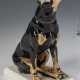 Dobermann - photo 1