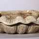 Shell shaped wall fountain basin with two scrolls - photo 1