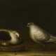 SOHN, Niclaes Peters H. zugeschrieben. Taubenpaar mit Nest. - photo 1