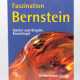 Krumbiegel, Faszination Bernstein - Foto 1