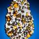 EXTRATERRESTRIAL PERIDOT IN COMPLETE SLICE OF AN IMILAC PALLASITE - Foto 1