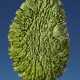 MOLDAVITE — WHEN EARTH AND ASTEROID COLLIDE AND CREATE GLASS - Foto 1
