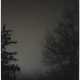 Untitled (Two Trees at Night) - photo 1