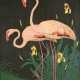 Fritz Lang. Flamingopaar Mit Iris - Foto 1
