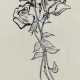 Andy Warhol. Three Roses. Ca. 1954 - Foto 1