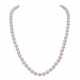 Akoya Perlenkette mit diamantbesetzter Schließe, - photo 1