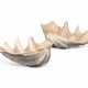 A PAIR OF GIANT CLAM SHELLS 'TRIDACNA GIGAS' - photo 1