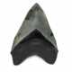 A LIGHT-GREY MEGALODON TOOTH - photo 1