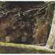 Wyeth, Andrew. Andrew Wyeth (1917-2009) - фото 1