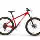 A LIMITED EDITION HARDTAIL MOUNTAIN BIKE - Foto 1