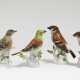 Vier Singvögel - Goldammer, Lerche und zwei Sperlinge Meissen - photo 1