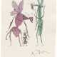 Quentin Blake (b.1932) - фото 1