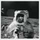 Alan Bean with the reflection of the photographer in his visor, November 14-24, 1969, EVA 2 - фото 1