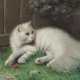 Tiermaler des 20. Jahrhundert ''Weiße Katze'' in einem Garten liegend - Foto 1