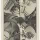 MAURITS CORNELIS ESCHER (1898-1972) - фото 1