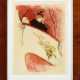 Henri de Toulouse-Lautrec - фото 1