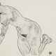 Schiele, Egon. Egon Schiele (1890-1918) - фото 1