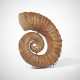 AN UNCOILED AMMONITE - Foto 1