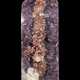 A LARGE SPECIMEN OF ORANGE QUARTZ CRYSTALS ON A BED OF CALCITE AND AMETHYST POINTS - фото 1