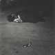 Weegee. Weegee (1899-1968) - photo 1