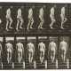 Eadweard (Edward James Muybridge) Muybridge. Animal Locomotion (Plate 89) - фото 1