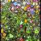 Case Simmons and Andrew Burke. Plant Collection Palette #1 - фото 1