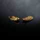Paar seltene feuervergoldete Zikaden aus Bronze - photo 1