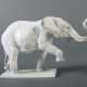 Afrikanischer Elefant E: Willy Münch-Khe - фото 1