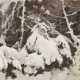 Edward Harrison Compton, Schneebedeckte Tannen - фото 1