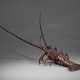 A COPPER ARTICULATED MODEL OF A LOBSTER - фото 1