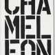 CHRISTOPHER WOOL (B. 1955) - photo 1