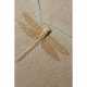 A LARGE FOSSIL DRAGONFLY - photo 1