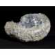 A CELESTITE GEODE - photo 1