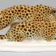 Große Leopardengruppe - Foto 1
