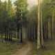 Pine Forest - photo 1