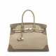 A LIMITED EDITION ÉTOUPE & ARGILE SWIFT LEATHER GHILLIES BIRKIN 35 WITH PALLADIUM HARDWARE - фото 1