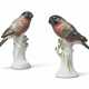 A PAIR OF MEISSEN PORCELAIN MODELS OF BULLFINCHES - Foto 1