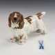 Cockerspaniel. Meissen. - photo 1