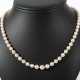 Lange Perlenkette Zuchtperlen (D: ca. 4 - фото 1