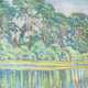 Georg Alexander Mathey (Hermannstadt 1884 - 1968). Kiefern am See. - Foto 1