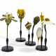 Set of four anatomical plant models - photo 1