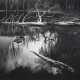 ANSEL ADAMS (1902-1984) - фото 1