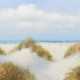 Maler des 20. Jh. ''Nordseestrand'', sommerliche Landsc… - photo 1