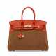 A LIMITED EDITION CAPUCINE SWIFT LEATHER & CHAMOIS VEAU DOBLIS GRIZZLY BIRKIN 35 WITH PERMABRASS HARDWARE - фото 1