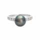 Ring mit 1 Tahiti-Zuchtperle und 8 Diamanten, - фото 1