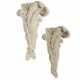 A PAIR OF FRENCH PLASTER WALL APPLIQUES - photo 1